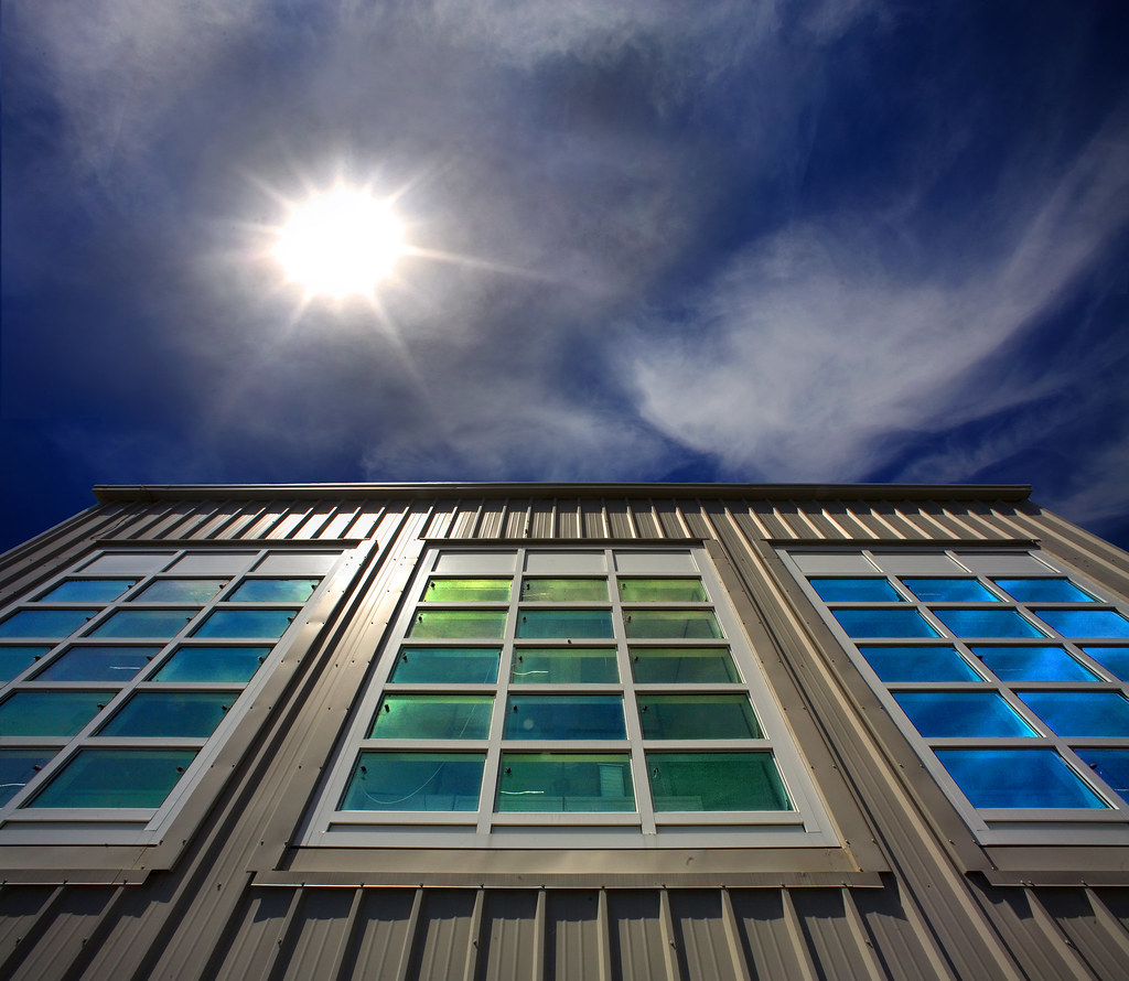 energy-efficient window replacement Waterloo